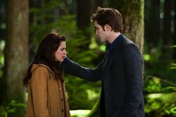 Sad guy Edward.jpg