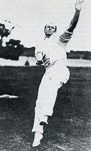 Cricket Right-Arm Medium by Philadelphian Bart King