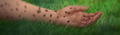 Thumbnail for version as of 00:01, May 14, 2014