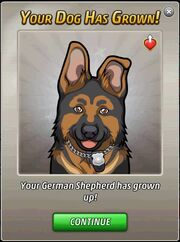 DogLevelUp 3 GrowUp