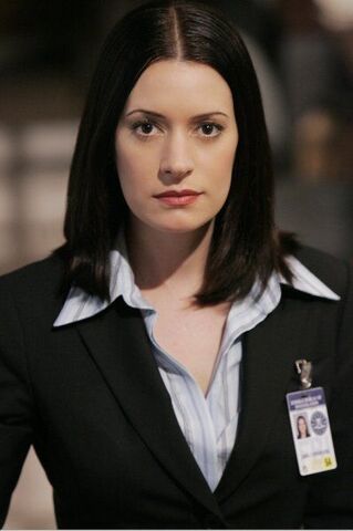 Datei:Criminal-minds-5.jpg