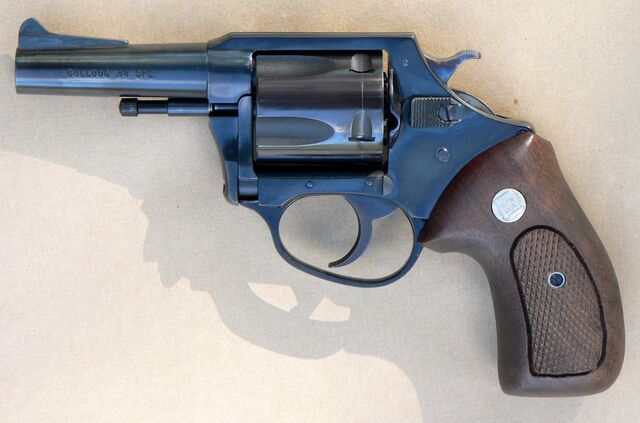 File:Charter Arms Bulldog.jpg