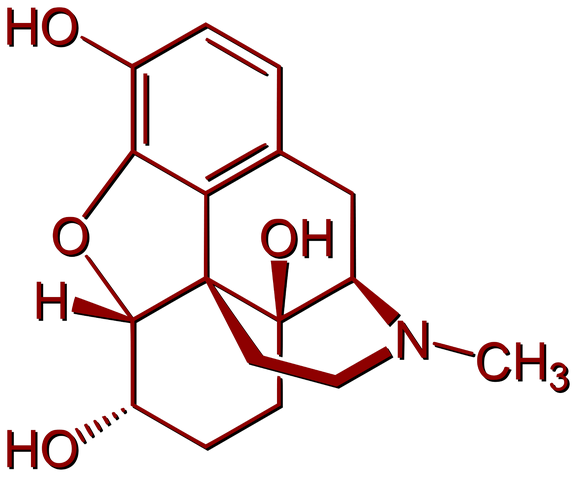 File:Dilaudid.png