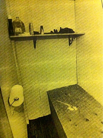 File:Wilseyville Cell.jpg