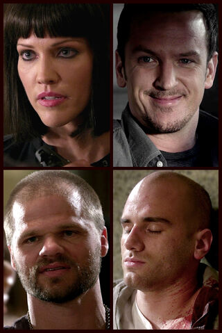 File:The Face Cards.jpg