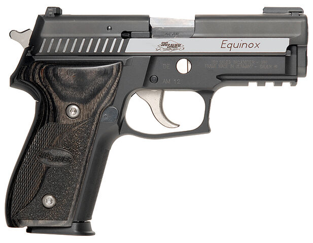 File:SigSauer229R-Equinox.jpg