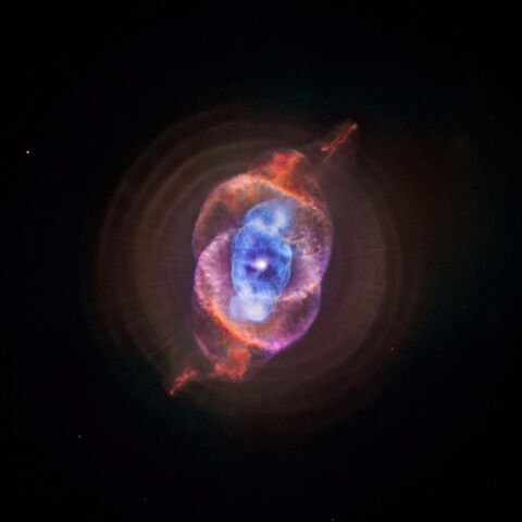 File:Tumblr neiicxq4rc1tlyemfo1 500.jpg