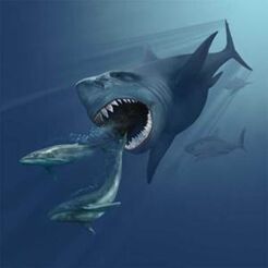 300px-Megalodon