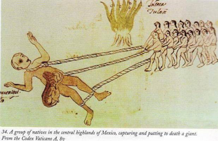 Giant aztec
