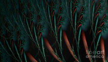 1-weird-plants-jan-willem-van-swigchem