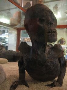 MarshMuseum2