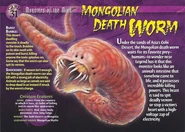 Mongolian Death Worm front.jpg (46 KB) Mongolian Death Worm front