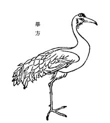 Bifang