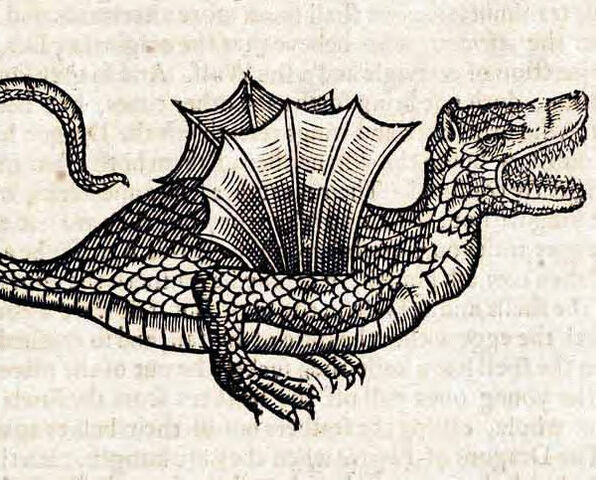 File:Draco.jpg