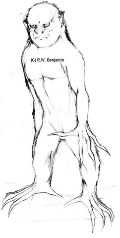File:Fear Liath Moor.jpg