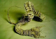 Http-inlinethumb59.webshots.com-43258-2657477660103830173S600x600Q85