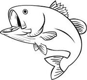 Goofang
