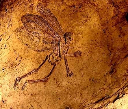 File:Leaf fairy.jpg