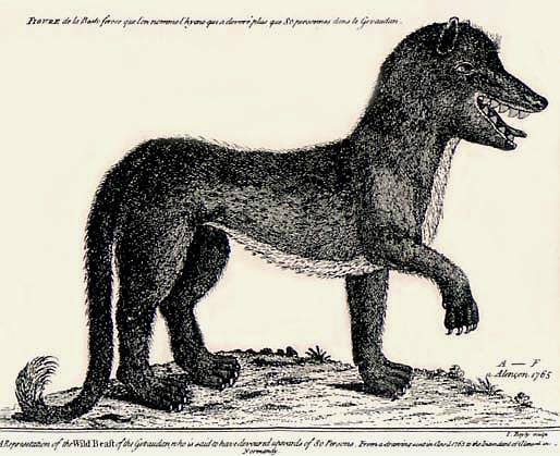 File:Gevaudanwolf.jpg