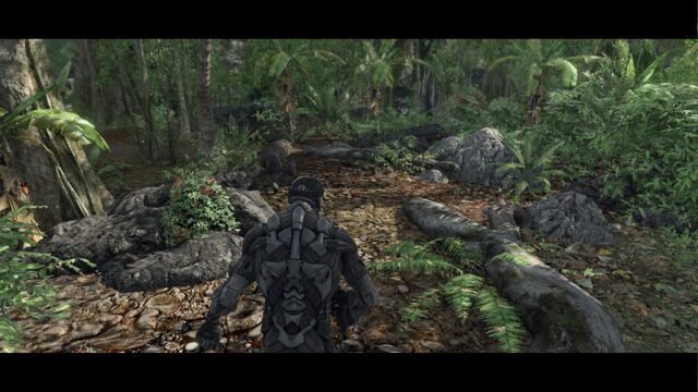 File:Crysis 2012-02-04 20-46-19-98.jpg