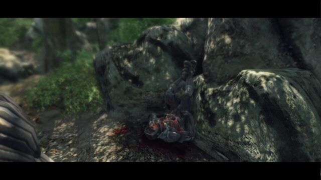 File:Crysis 2012-02-04 19-24-14-98.jpg