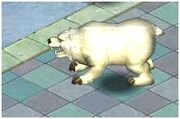 Polar Bear Pet