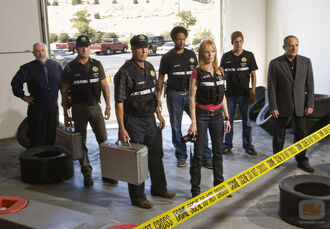 CSI8x17-2.jpg