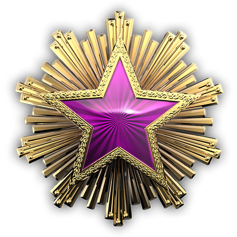 File:Csgo-service medal 2016 5.png