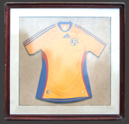 File:De vostok Romanian Jersey.jpg
