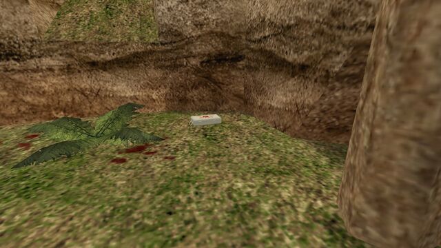 File:Cz downed4 medkit (3).jpg