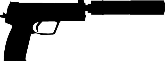 File:Usps hud csgo.png