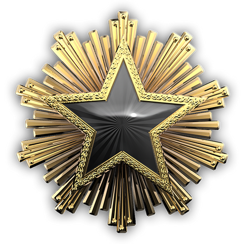 File:Csgo-service medal 2016 7.png
