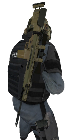 File:P scar20 back.png