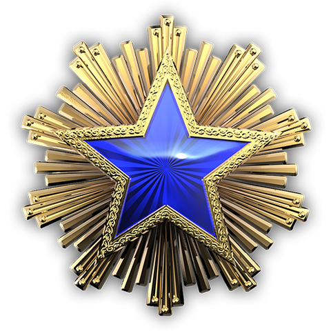 File:Csgo-service medal 2016 3.png