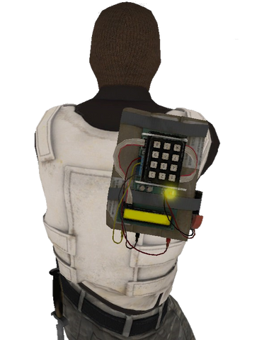 File:P ied back.png