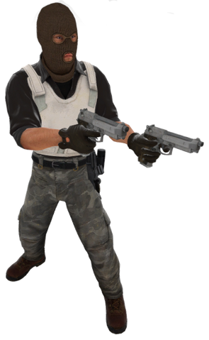 File:P elite t csgo.png