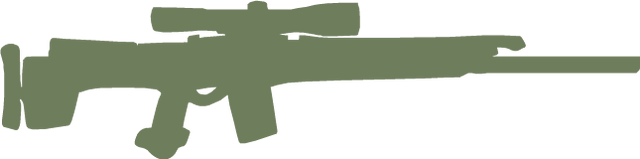 File:Sg550 hud csgoa.png