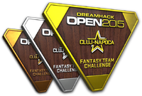Csgo-cluj 2015 fantasy trophies