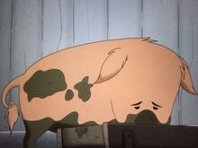 Howie the hog