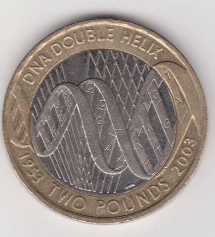 File:DNA £2.jpg