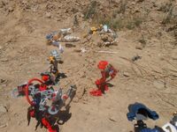 Tfp1-6