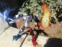 Tfp3-11