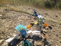 Tfp6-10