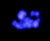 Darkshedanim