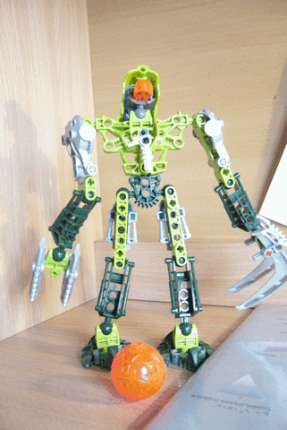 Plik:P1030205.gif