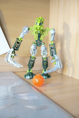 Plik:P1030204.gif