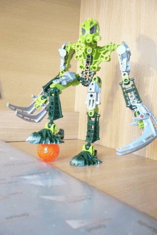 Plik:P1030208.gif