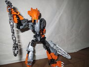 IMG 0223