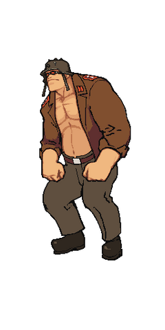 File:AWDS Flak.png