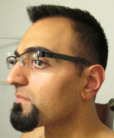 File:Ham beard7.jpg